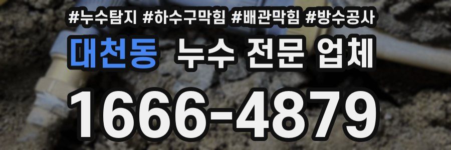 대천동 누수 전문 업체