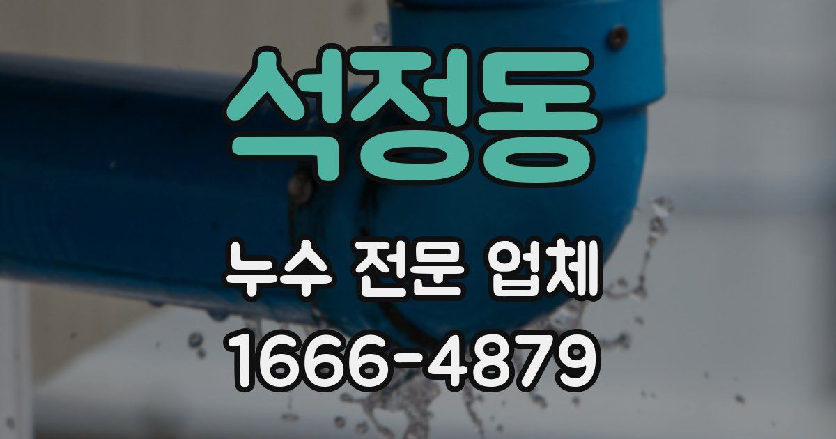 석정동 누수 전문 업체