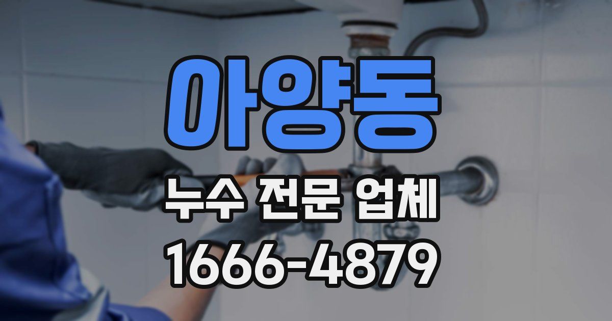아양동 누수 전문 업체