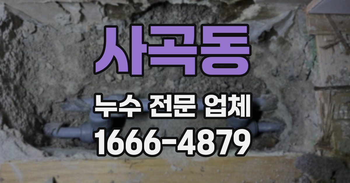 사곡동 누수 전문 업체
