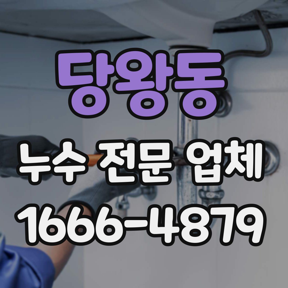 당왕동 누수 전문 업체