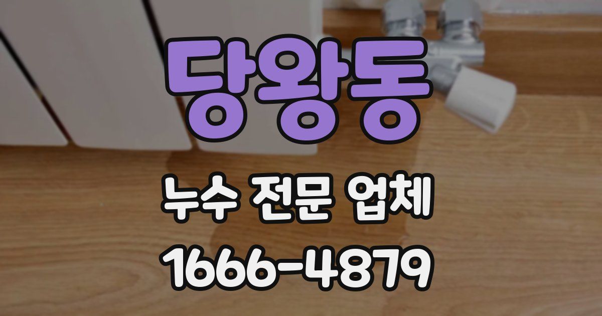 당왕동 누수 전문 업체