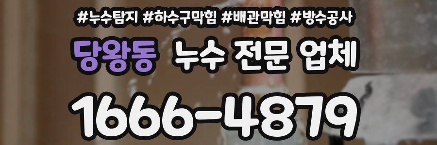 당왕동 누수 전문 업체