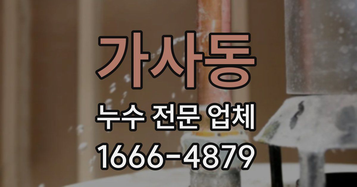 가사동 누수 전문 업체