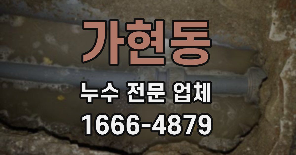 가현동 누수 전문 업체