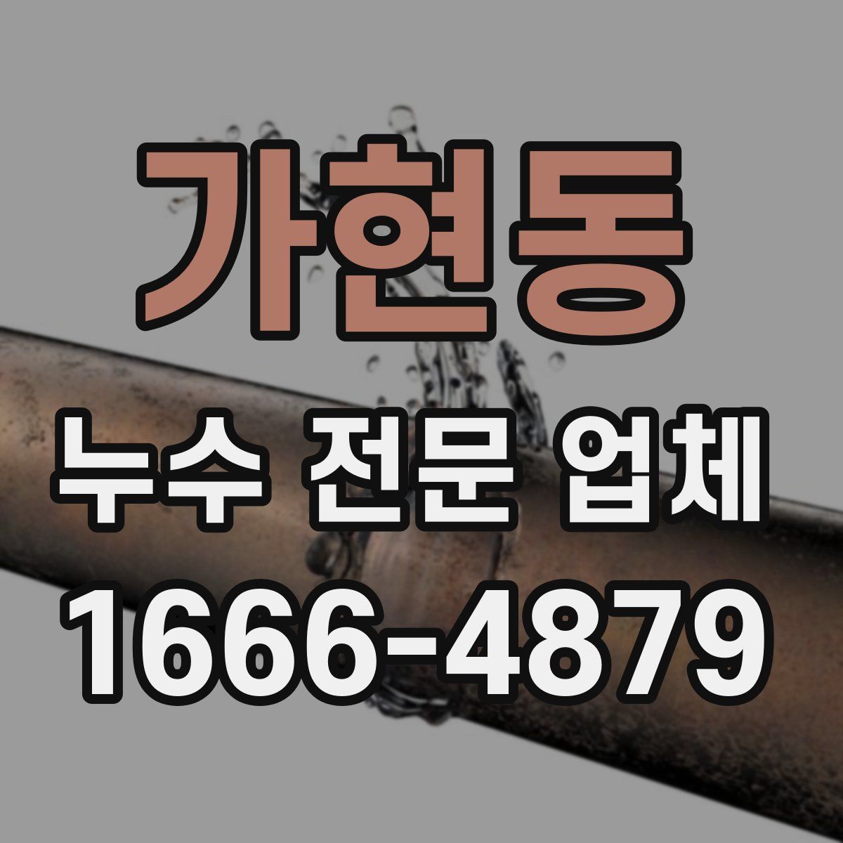 가현동 누수 전문 업체