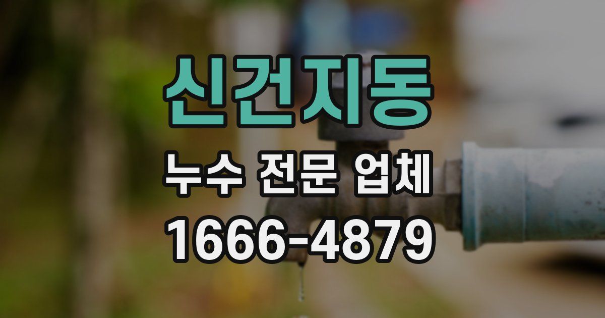 신건지동 누수 전문 업체