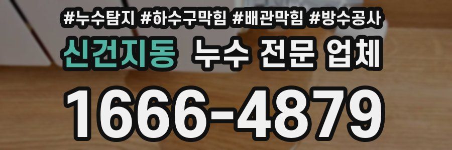신건지동 누수 전문 업체