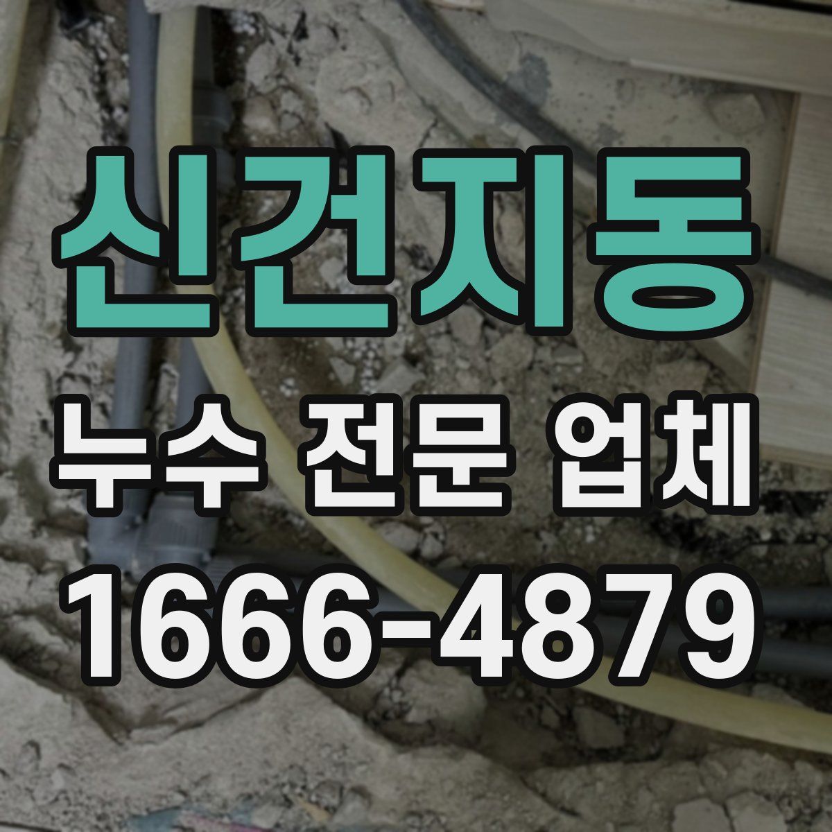신건지동 누수 전문 업체