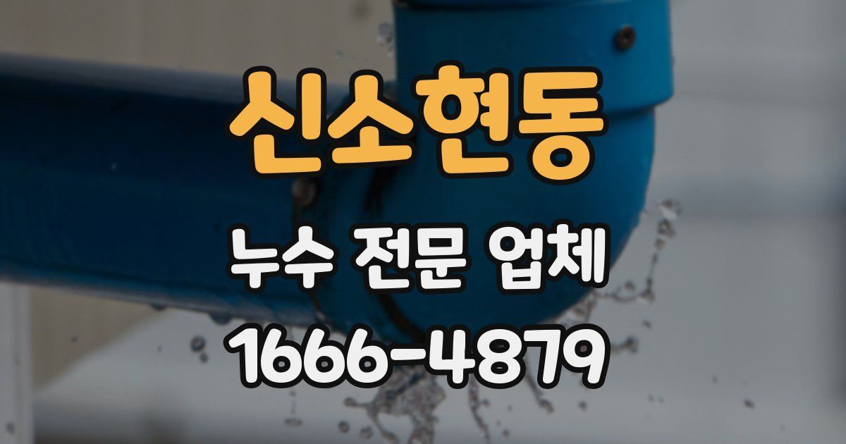 신소현동 누수 전문 업체