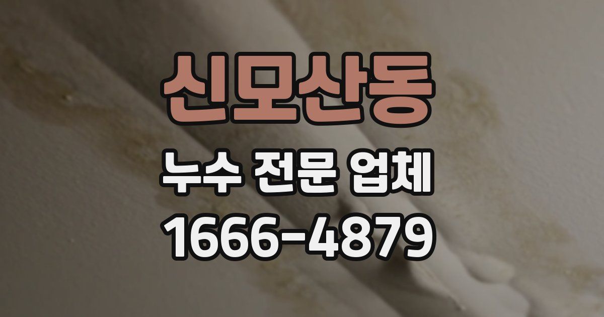신모산동 누수 전문 업체