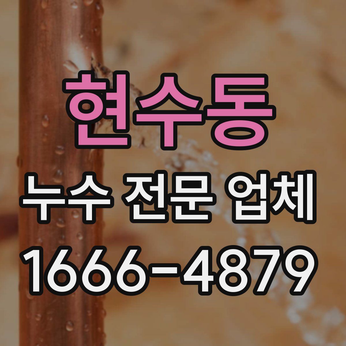 현수동 누수 전문 업체
