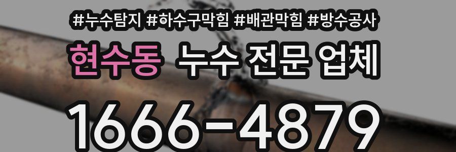 현수동 누수 전문 업체