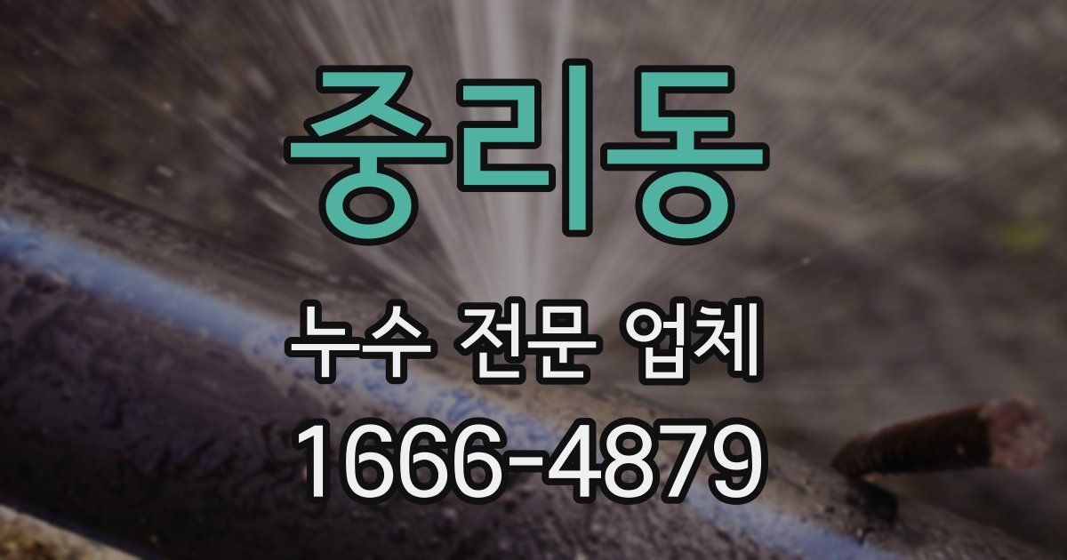중리동 누수 전문 업체