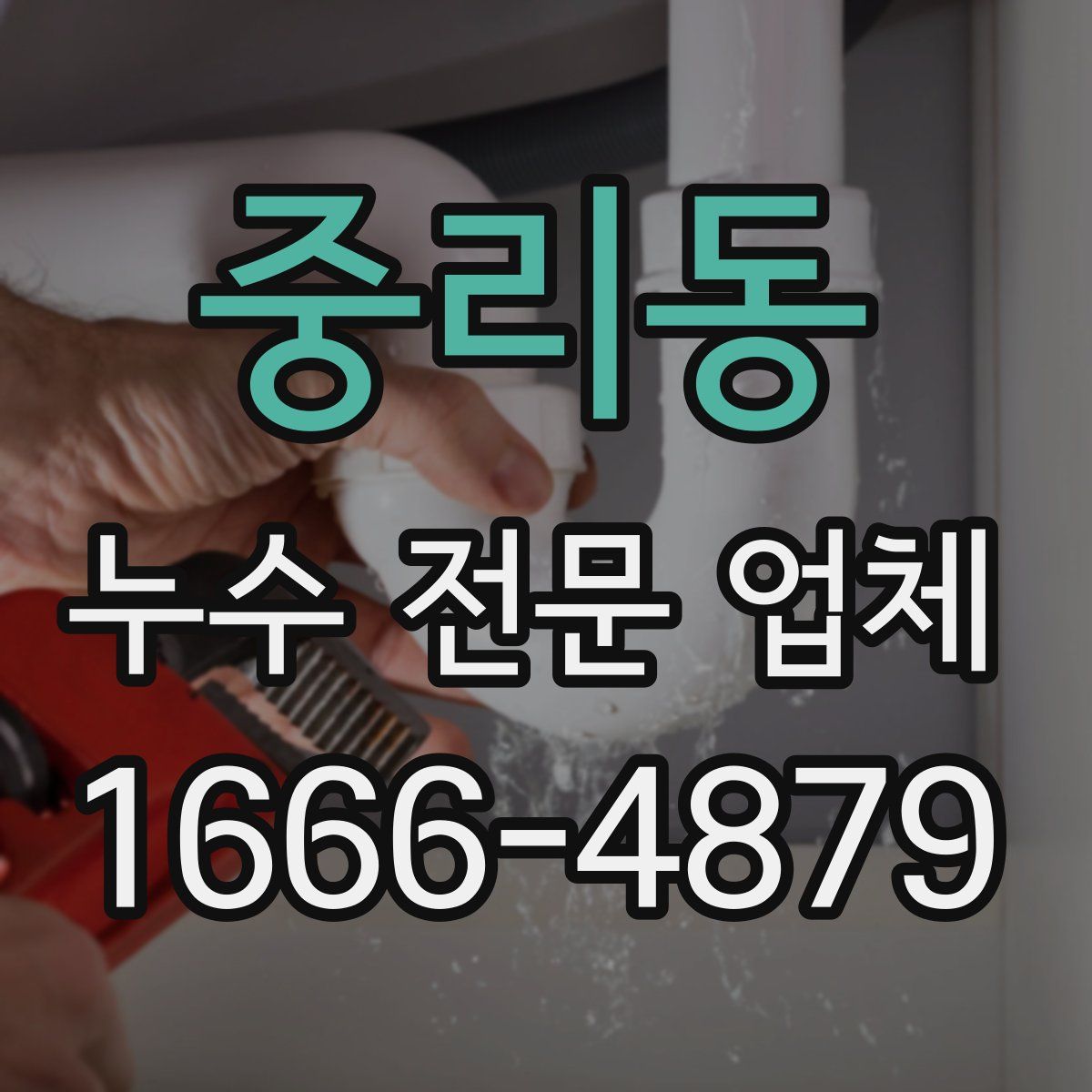 중리동 누수 전문 업체