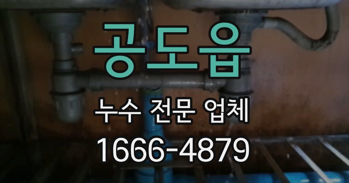 공도읍 누수 전문 업체