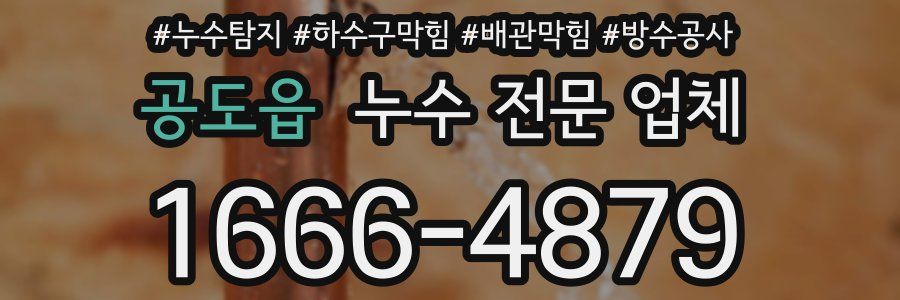 공도읍 누수 전문 업체