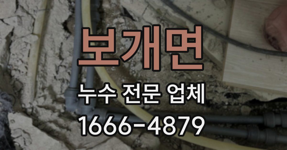 보개면 누수 전문 업체