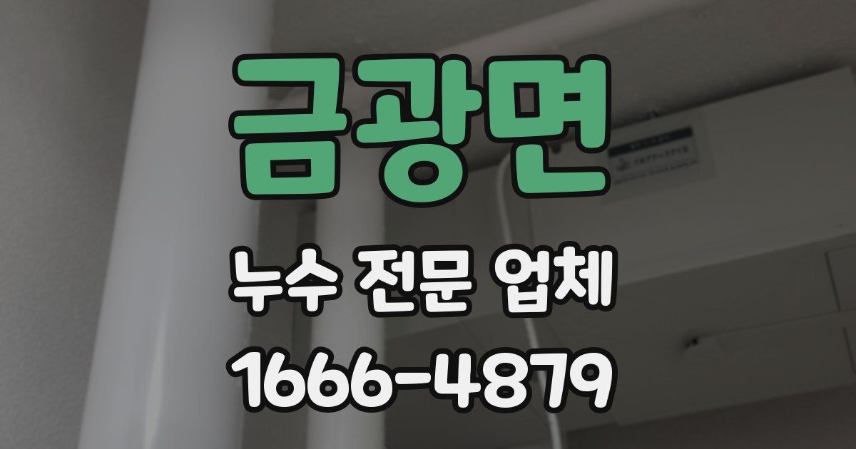 금광면 누수 전문 업체