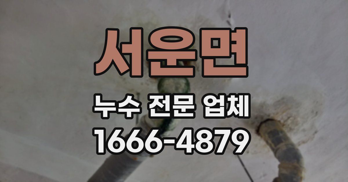 서운면 누수 전문 업체