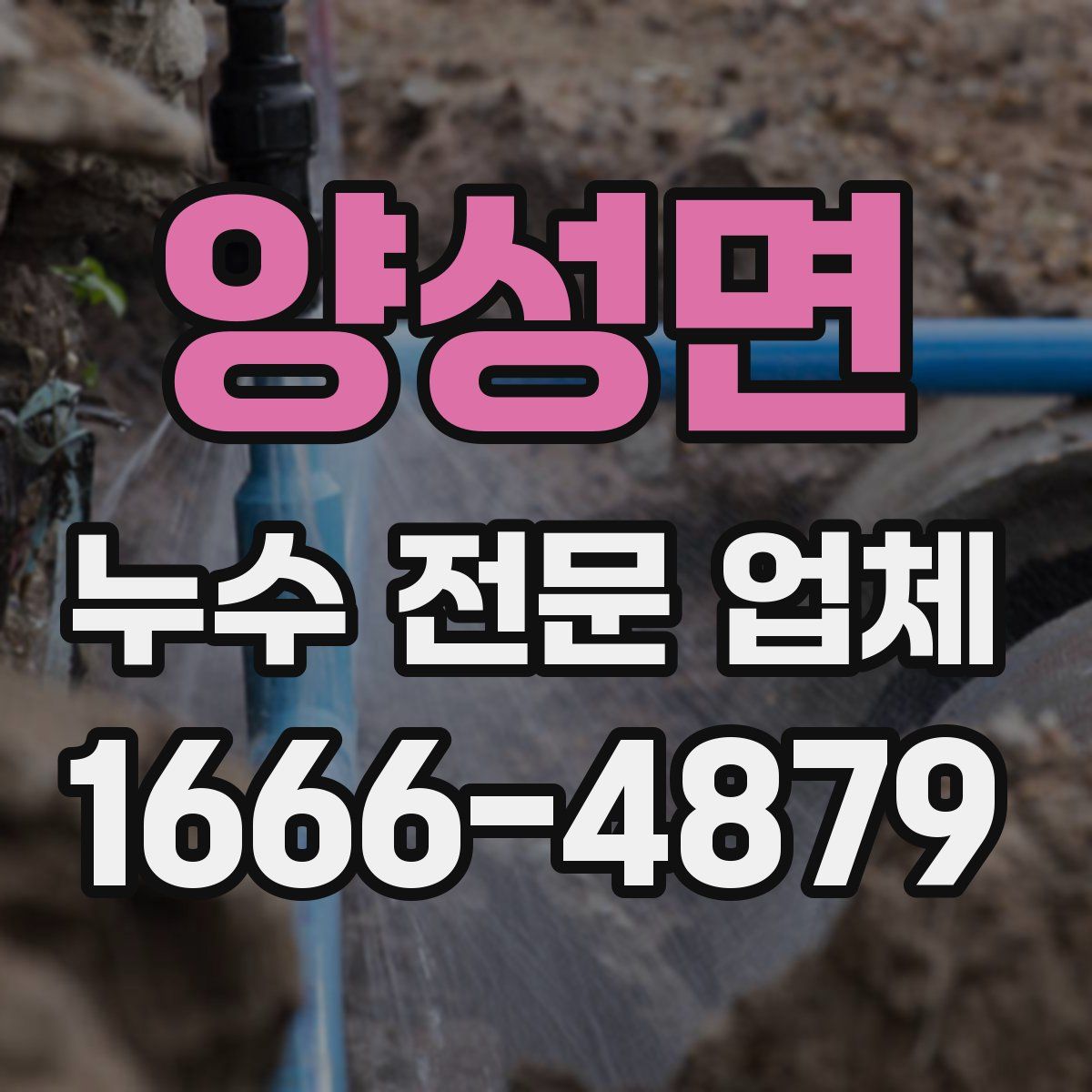 양성면 누수 전문 업체