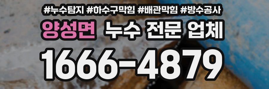 양성면 누수 전문 업체