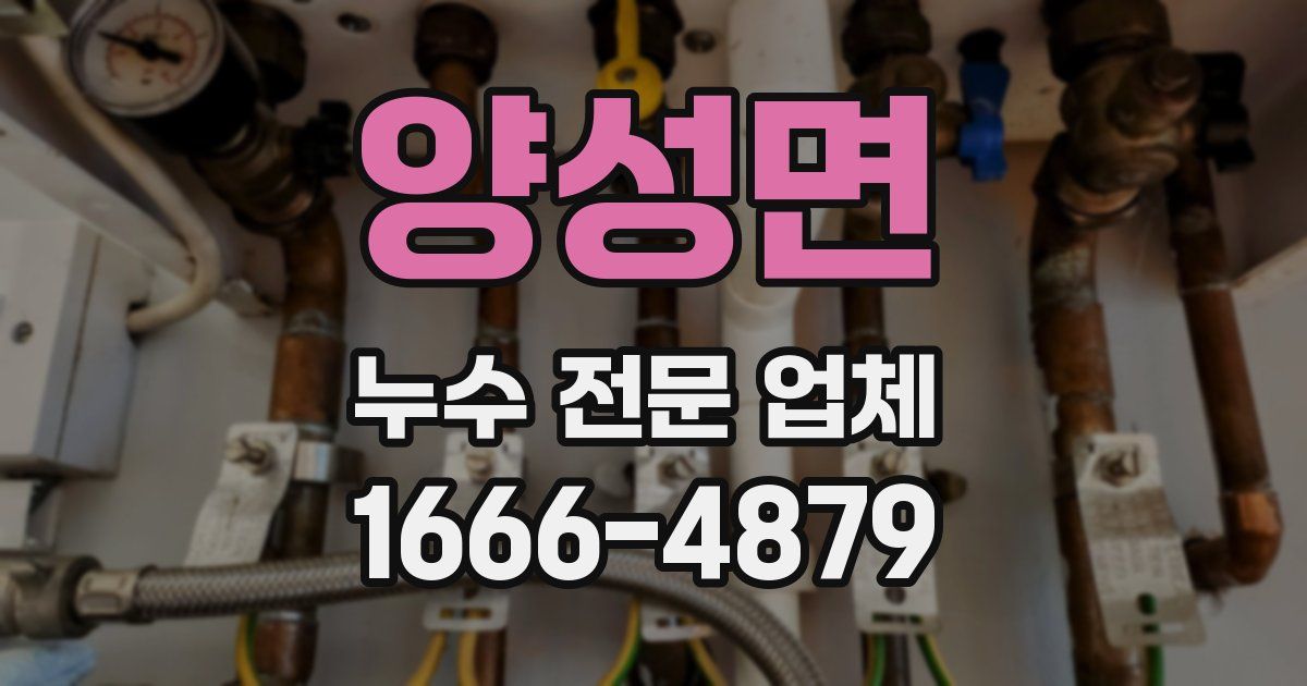 양성면 누수 전문 업체