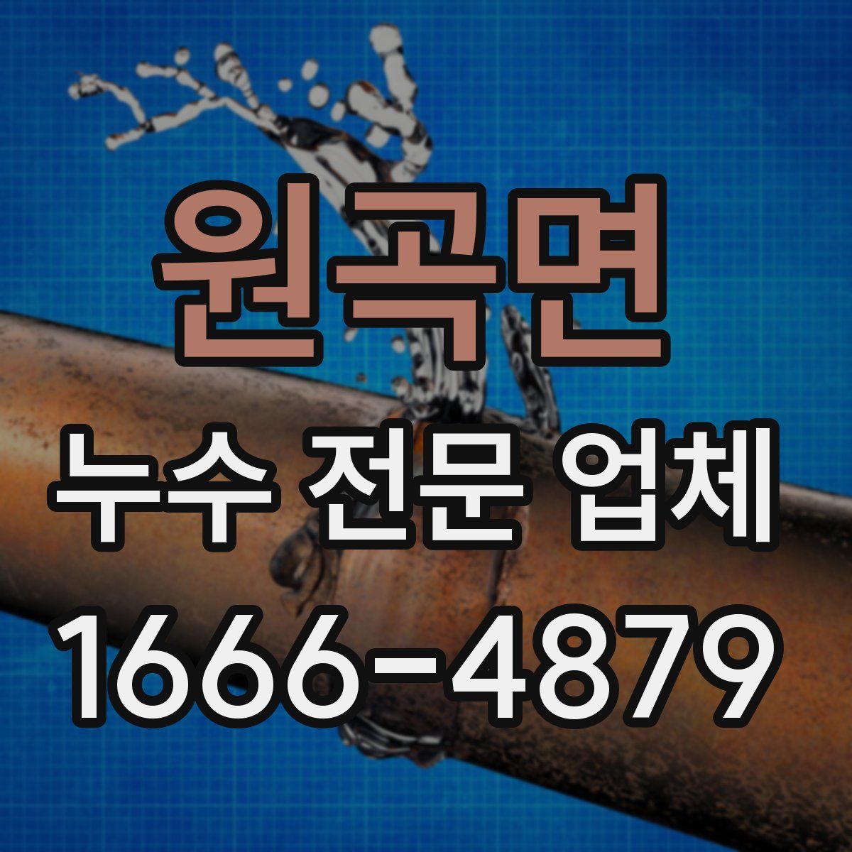 원곡면 누수 전문 업체