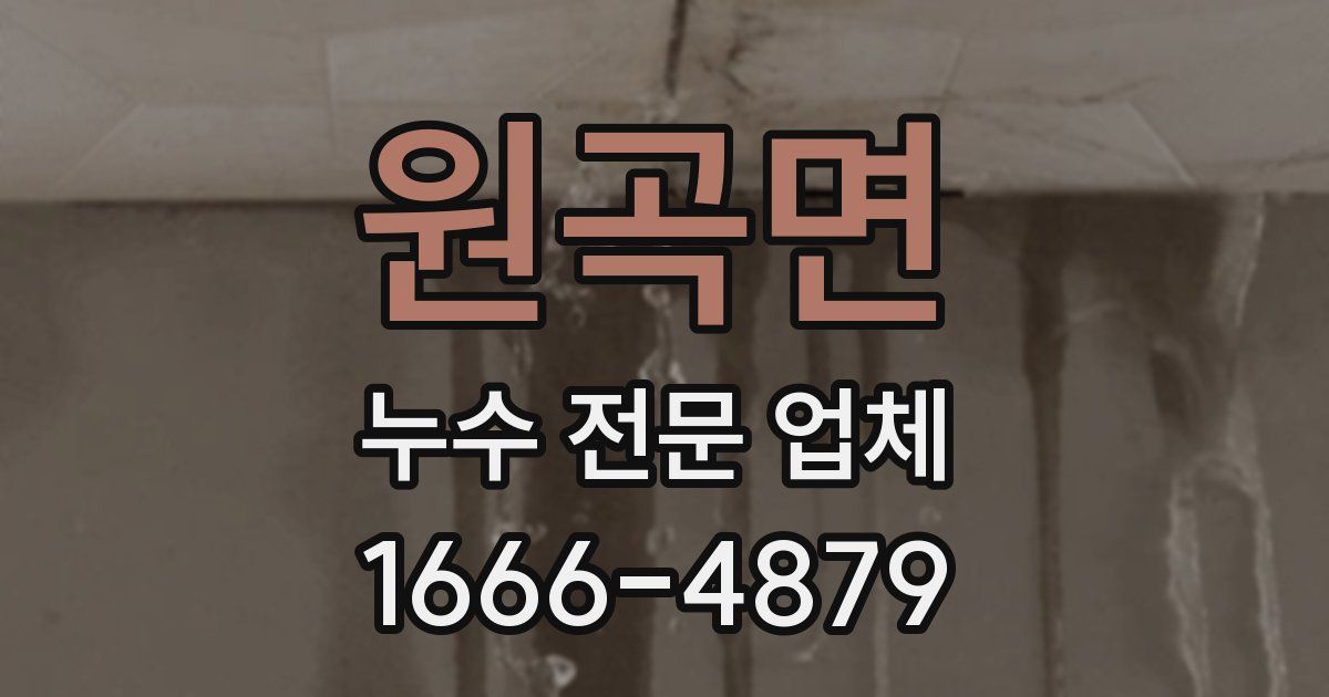 원곡면 누수 전문 업체