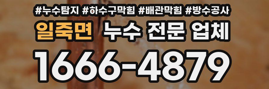 일죽면 누수 전문 업체
