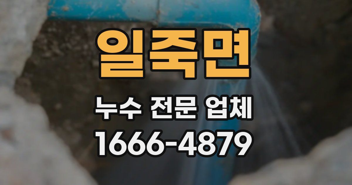 일죽면 누수 전문 업체