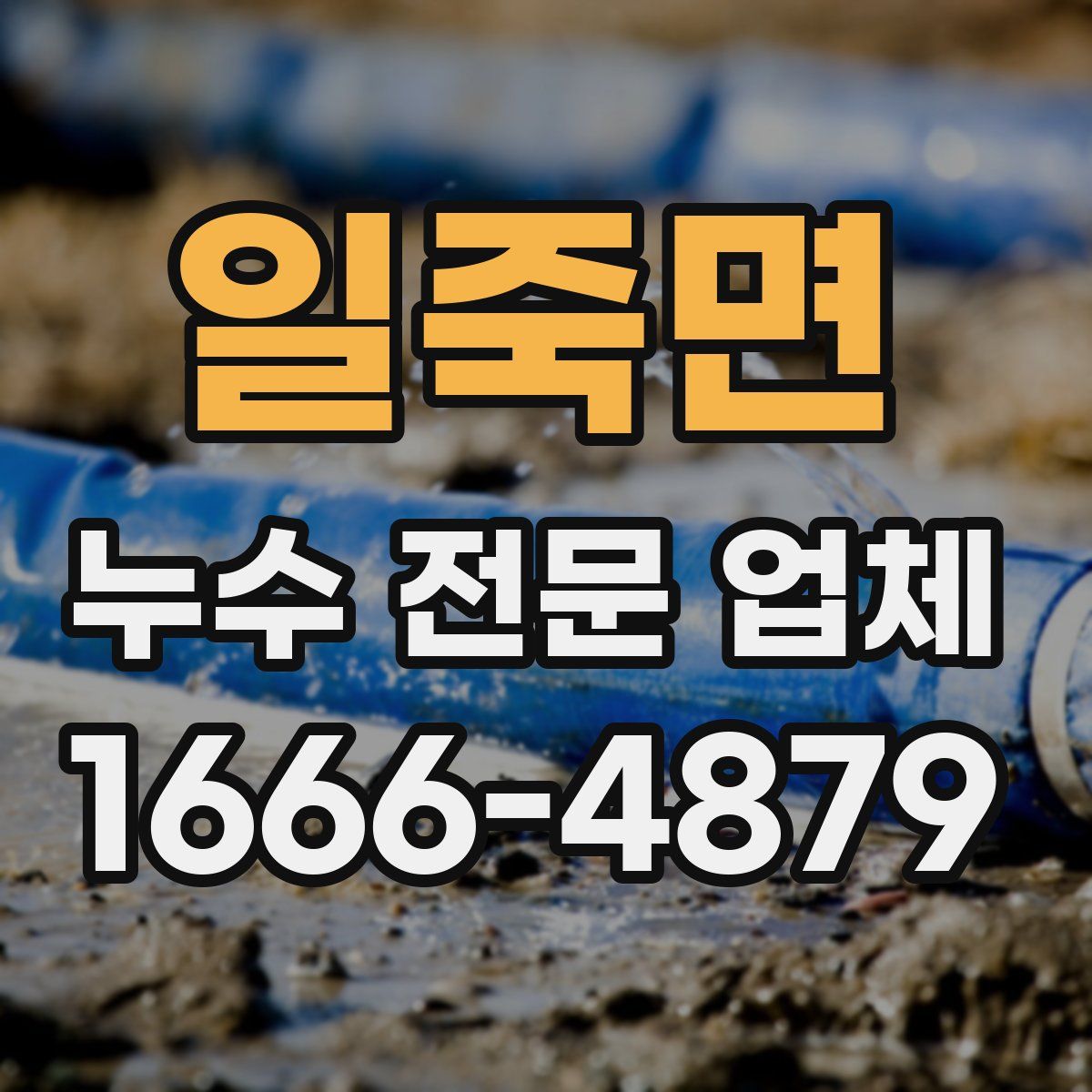 일죽면 누수 전문 업체
