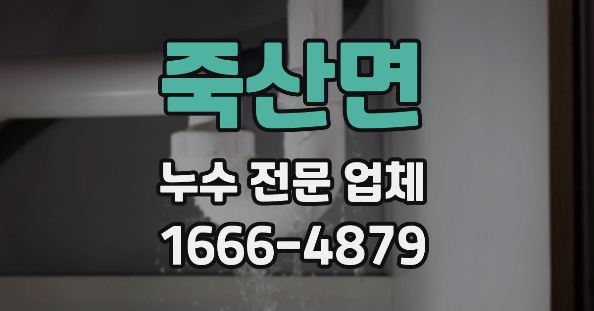 죽산면 누수 전문 업체