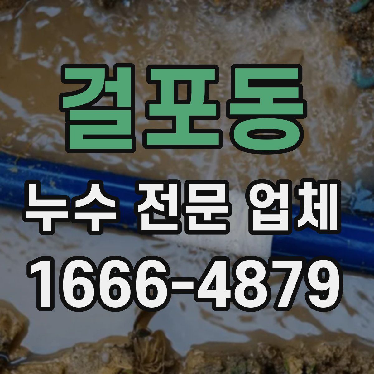 걸포동 누수 전문 업체