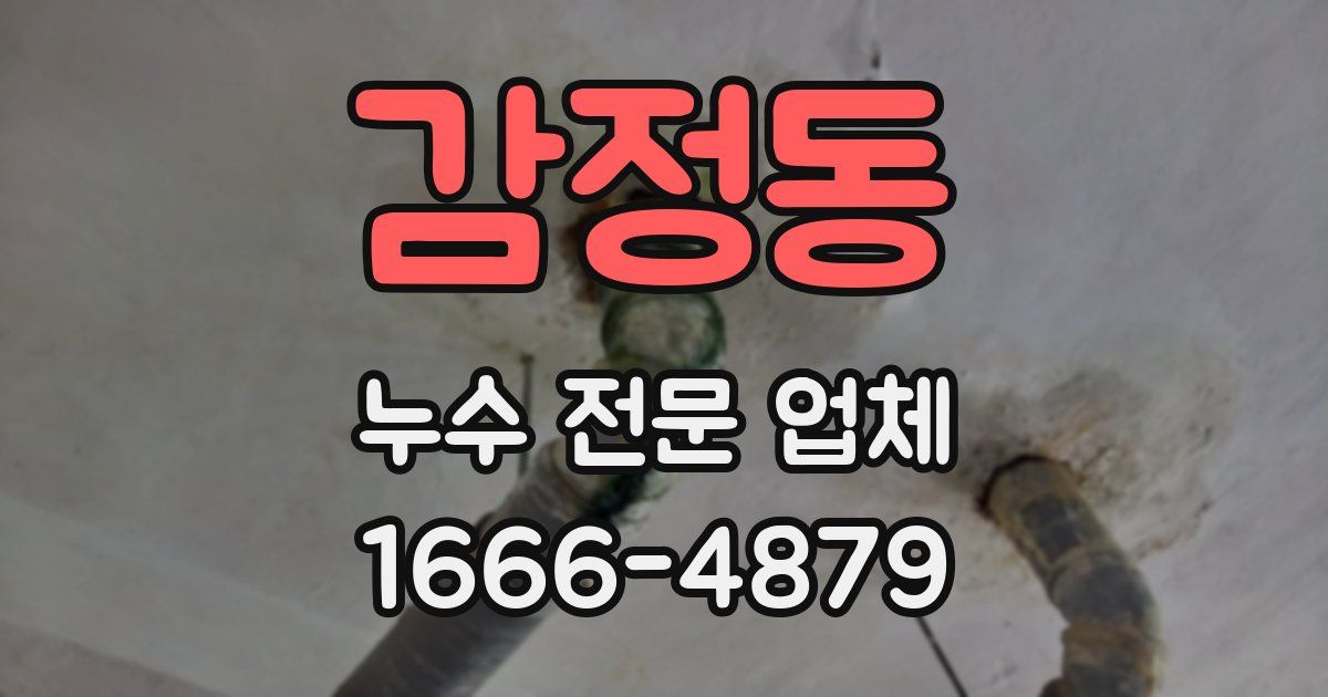 감정동 누수 전문 업체