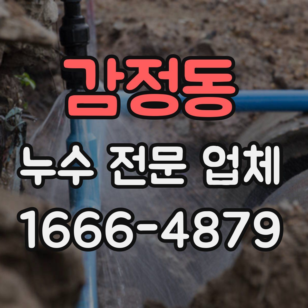 감정동 누수 전문 업체