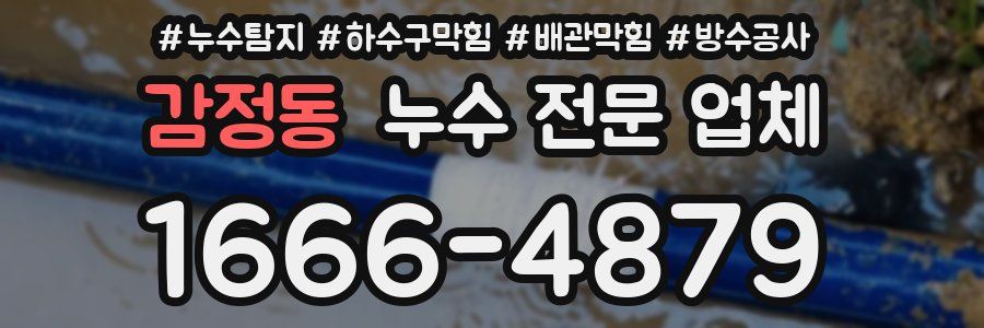 감정동 누수 전문 업체