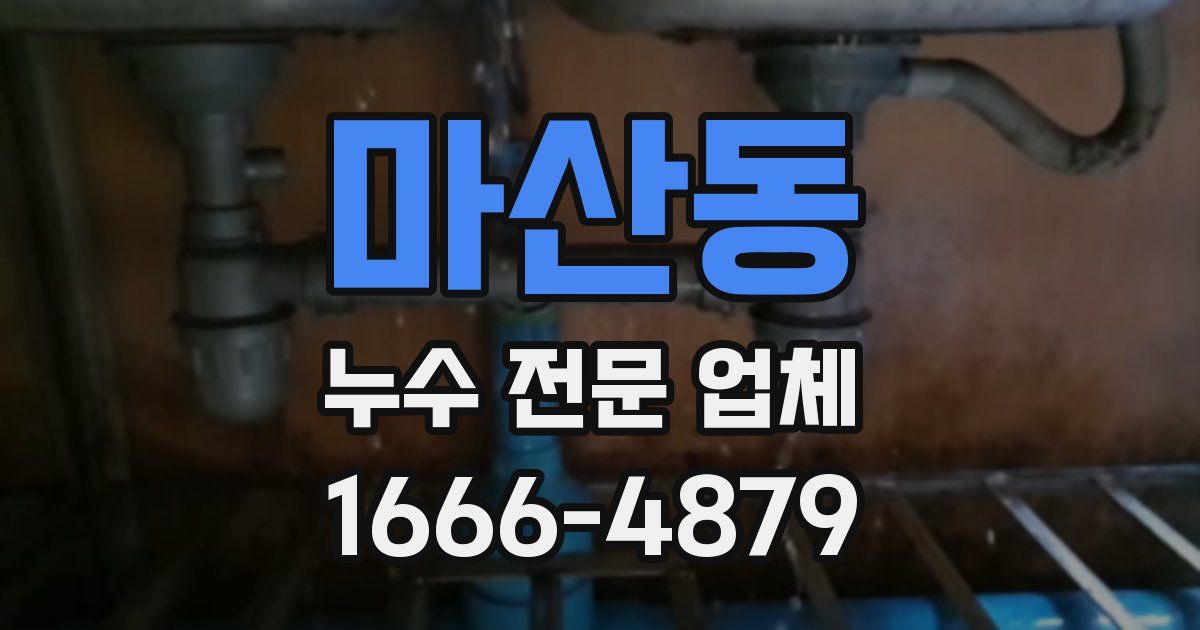 마산동 누수 전문 업체