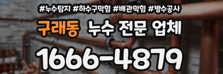 구래동 누수 전문 업체