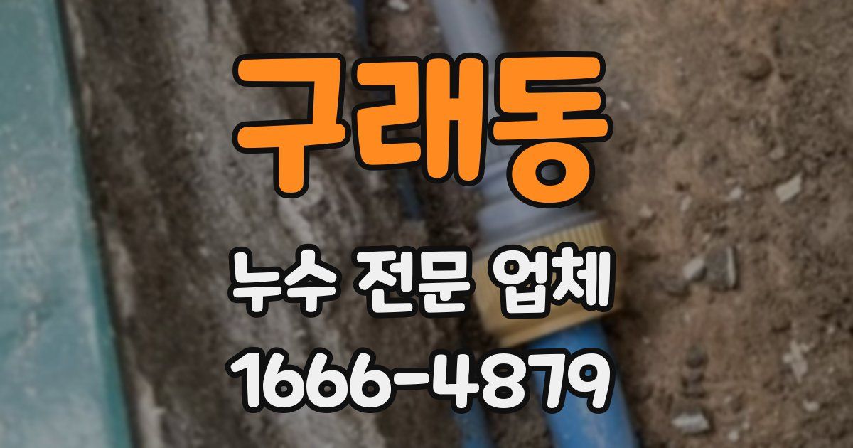 구래동 누수 전문 업체