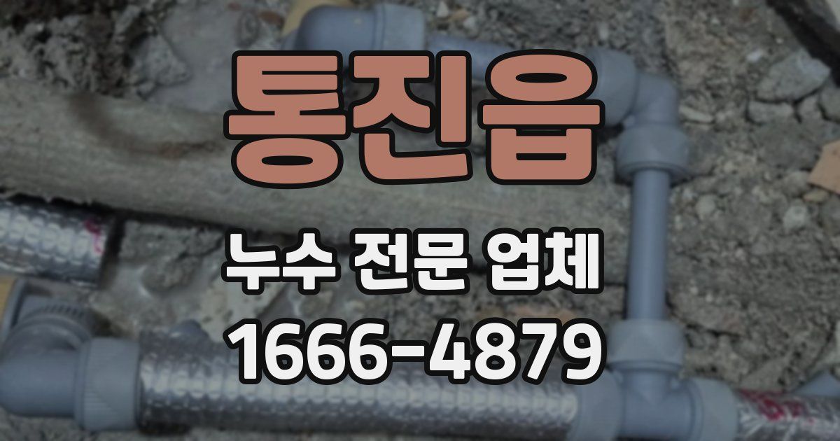 통진읍 누수 전문 업체