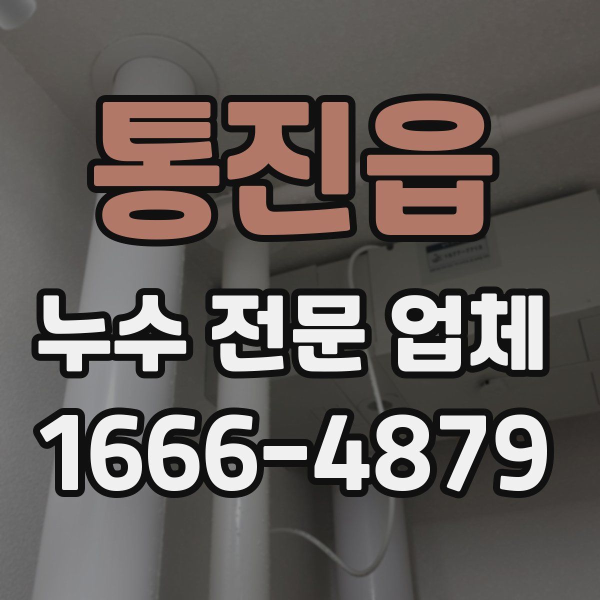 통진읍 누수 전문 업체
