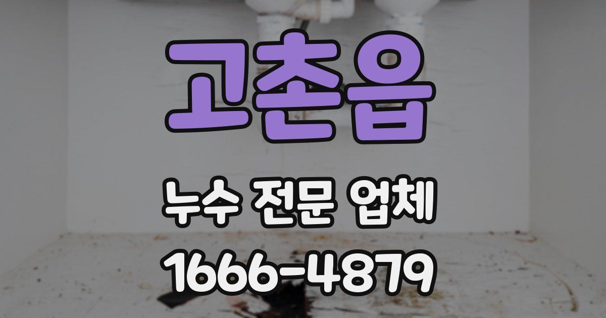 고촌읍 누수 전문 업체