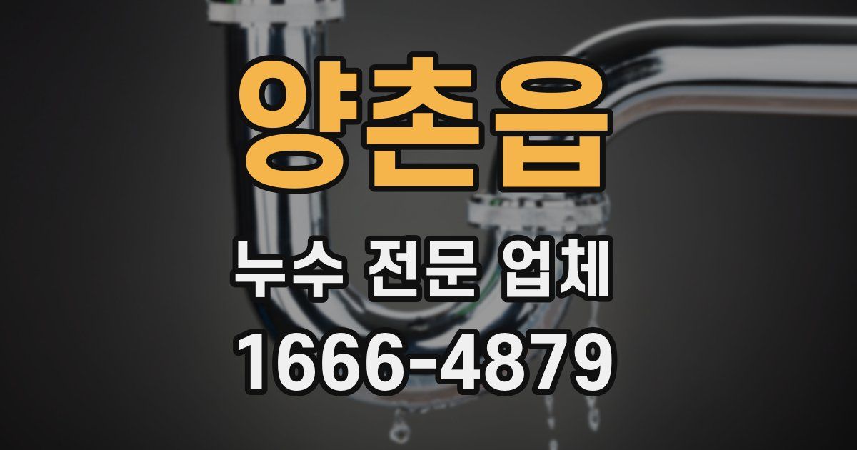 양촌읍 누수 전문 업체