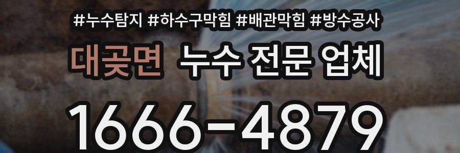 대곶면 누수 전문 업체
