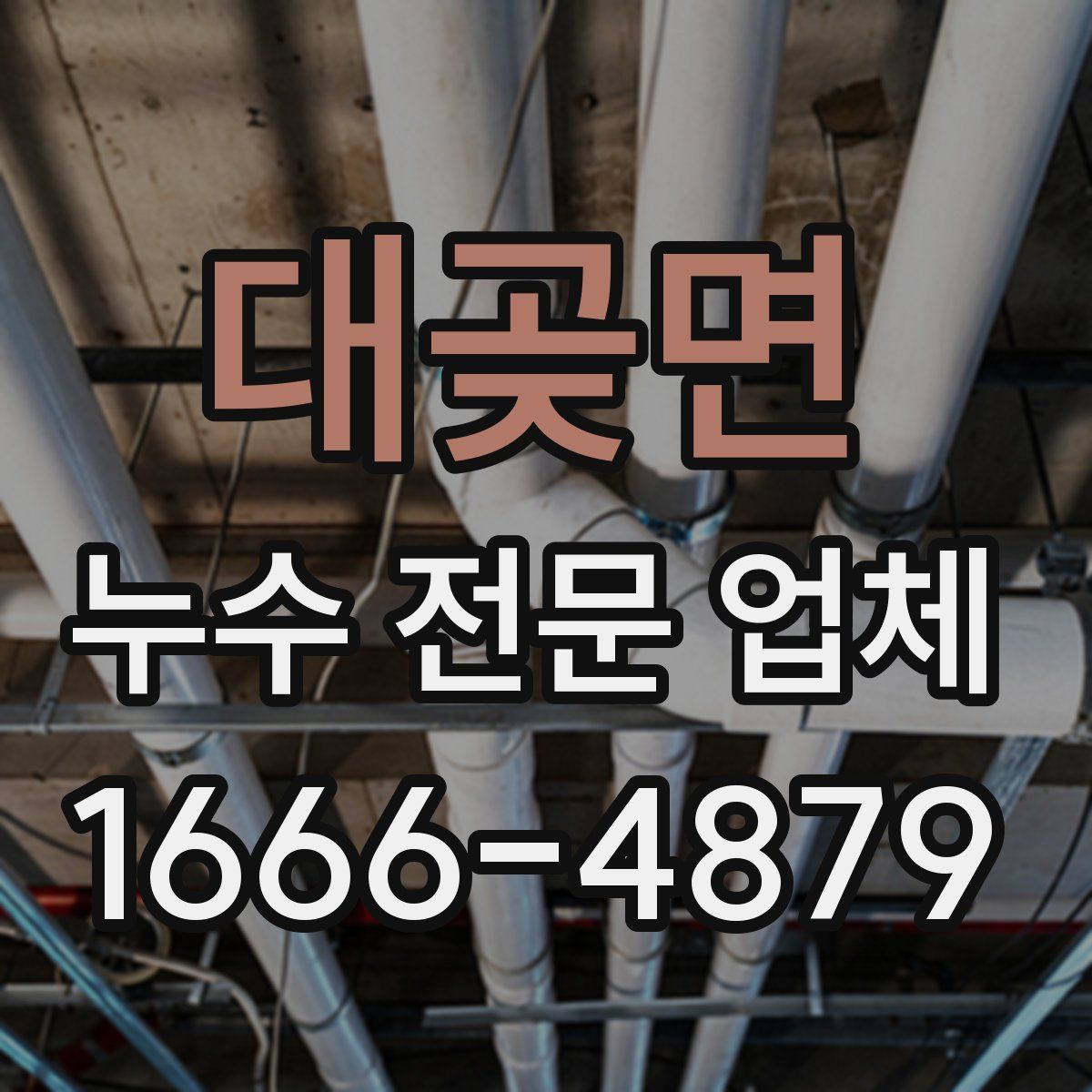 대곶면 누수 전문 업체