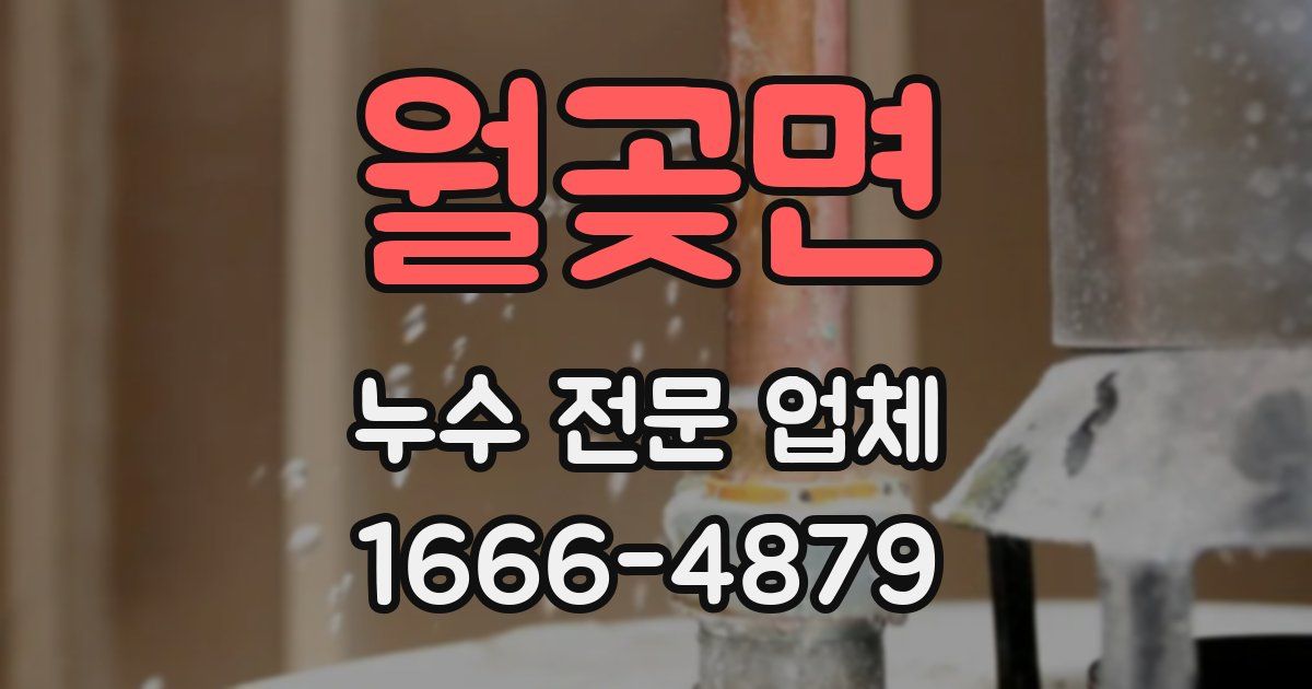 월곶면 누수 전문 업체