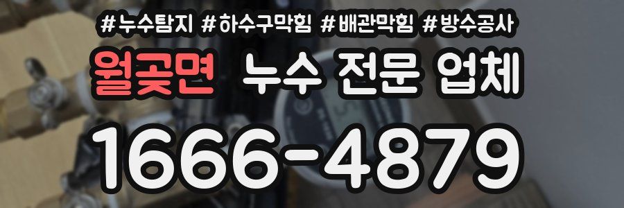 월곶면 누수 전문 업체