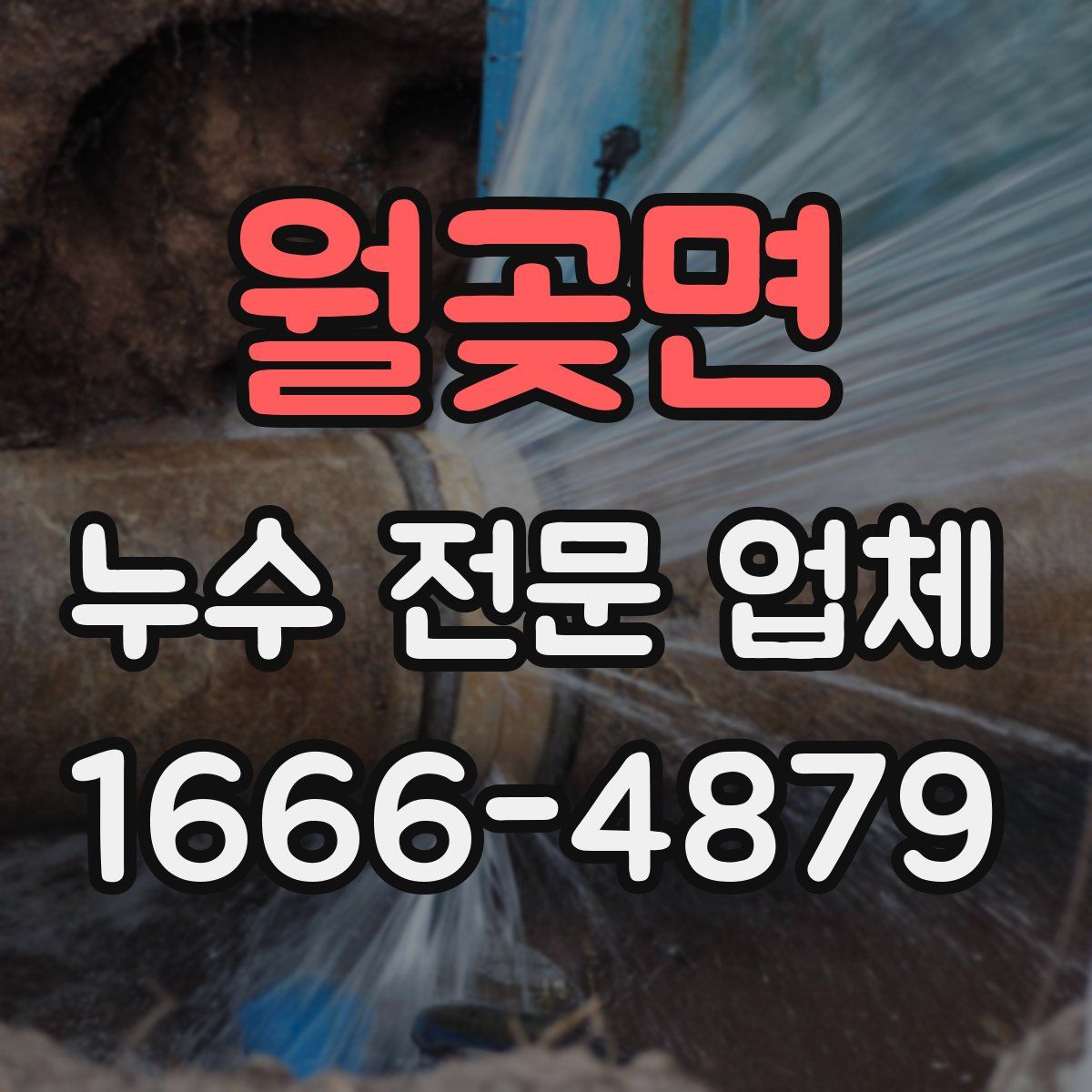 월곶면 누수 전문 업체