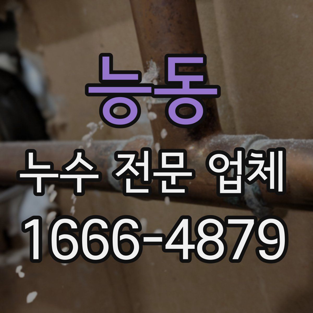 능동 누수 전문 업체